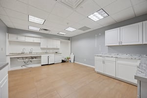 24806341
