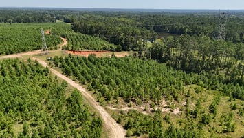 24806806