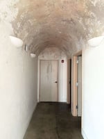 24902631