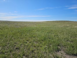 24905238