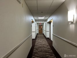 24910769