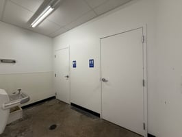 29684431