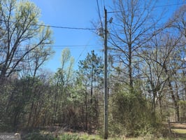 24924506