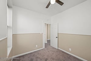 31365787