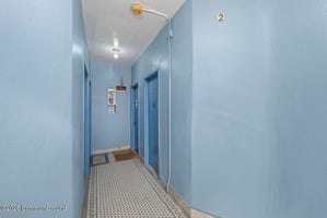 31365796