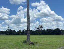 24941569