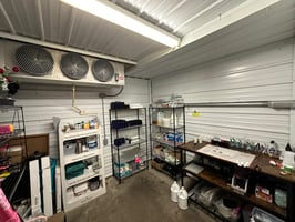 24946750