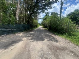 24954767