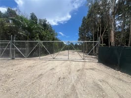24954766