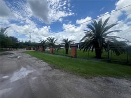 24954747