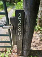24961988