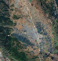 24967029