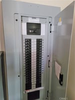 24969556
