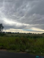 24970248