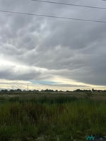 24970249
