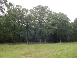 24975336