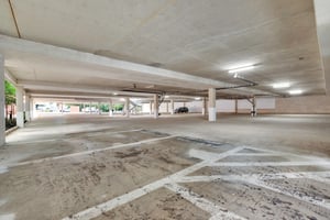 25507636