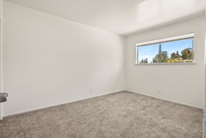 24981409