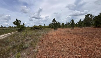 24996542