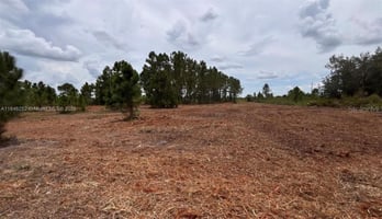 24996541
