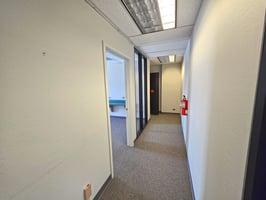 25001564
