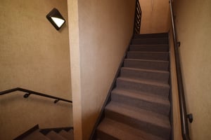 25002394