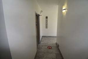 25114396