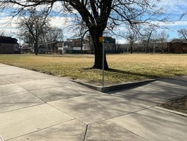 25116726