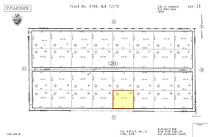 25224648