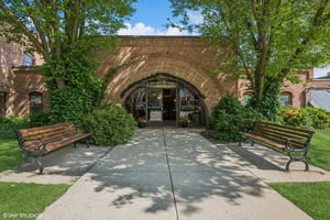 25264818