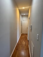 25265163