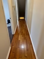 25265159