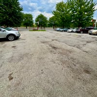 25269841