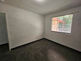 25418297