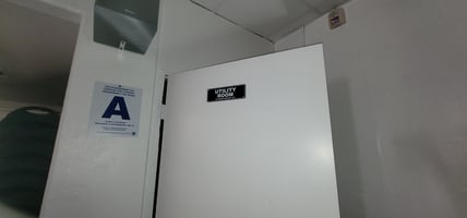 25424408