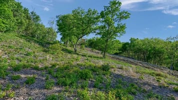 25425898
