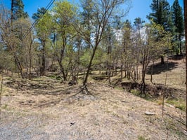 25426260