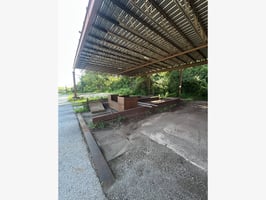 25455239