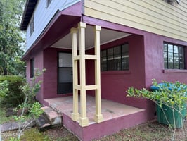25445978