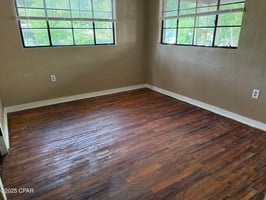 25445989