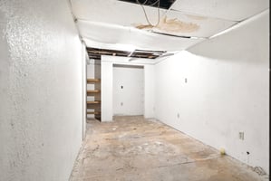 25448119