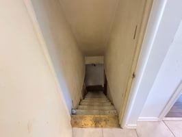 25448117