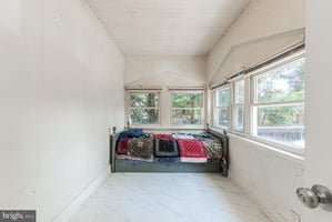 25450534