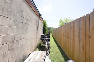 29881606