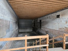 25452315
