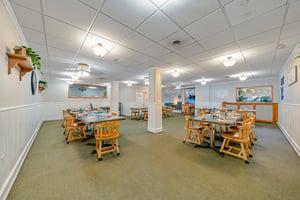 25454731