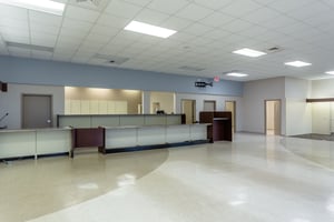 25454920