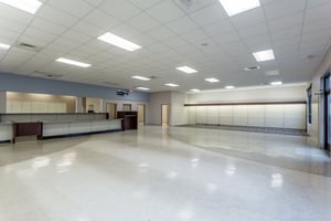 25454918