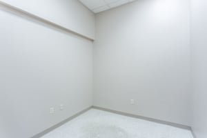25454931