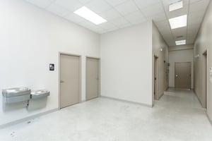 25454928